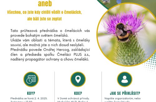 O čmelácích a lidech aneb všechno, co jste kdy chtěli vědět o čmelácích, ale báli jste se zeptat