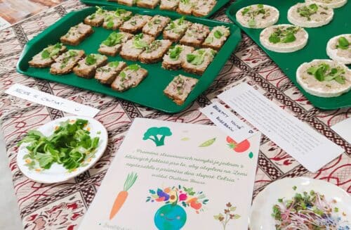 CEV Dřípatka při DDM Prachatice