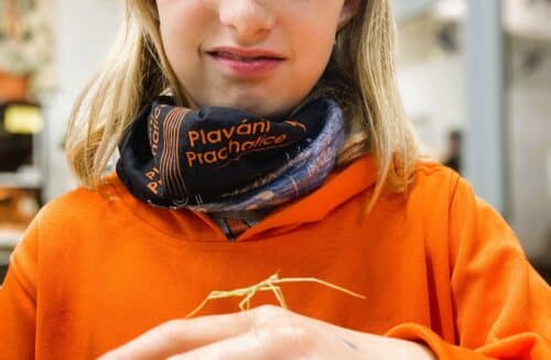 CEV Dřípatka při DDM Prachatice