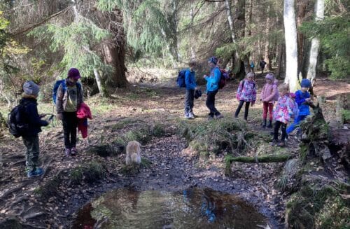 CEV Dřípatka při DDM Prachatice