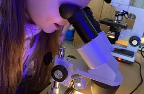 CEV Dřípatka při DDM Prachatice