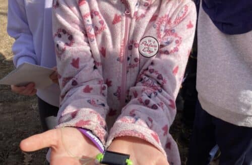 CEV Dřípatka při DDM Prachatice