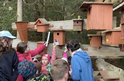 CEV Dřípatka při DDM Prachatice