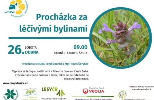 Procházka za léčivými bylinami