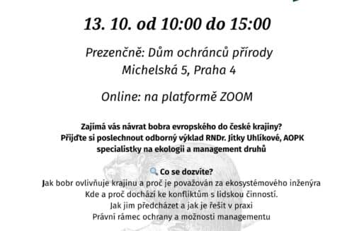 Inženýr Bobr - jak předcházet konfliktům či jak je řešit [změna termínu]