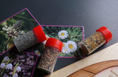 Krása květů - workshop v laborkách