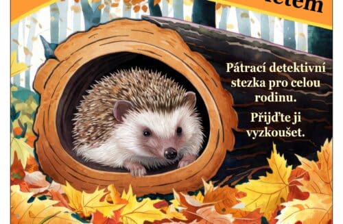 Detektivka s babím létem