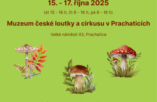 Tradiční výstava hub