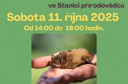 Infostánek na Podzimní výstavě ve Stanici přírodovědců