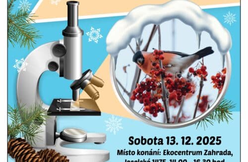 Badatelské odpoledne - zimní příroda a kouzlo Vánoc