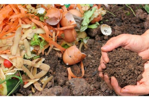 Seminář o kompostování - ZDARMA