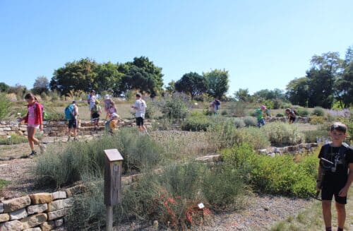 Dendrologická zahrada Průhonice